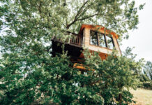 #EcobnbRegenerate il contest social che premia il turismo rigenerativo Ecobnb - Casa sull albero, Glamping il Sole