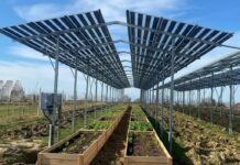 A Serralunga di Crea nasce il primo “BioOrto ElettroAttivo” d’Italia BioOrto-small-1024x747