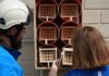 Giornata dell’ambiente: Terna trasforma tralicci e stazioni elettriche in oasi per gli insetti impollinatori Nido artificiale per insetti impollinatori presso Stazione Elettrica Terna