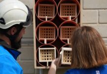 Giornata dell’ambiente: Terna trasforma tralicci e stazioni elettriche in oasi per gli insetti impollinatori Nido artificiale per insetti impollinatori presso Stazione Elettrica Terna