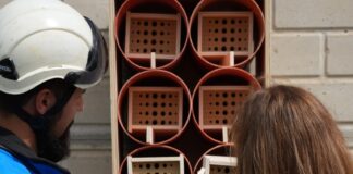 Giornata dell’ambiente: Terna trasforma tralicci e stazioni elettriche in oasi per gli insetti impollinatori Nido artificiale per insetti impollinatori presso Stazione Elettrica Terna