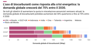Biocarburanti un rischio per la sicurezza alimentare secondo Transport & Environment impatto biocarburanti su filiera alimentare