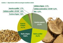 Riscaldamento a biomassa: il vicolo cieco dei vecchi generatori