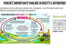 Crisi climatica, vincono i peggiori WWF Italia impollinatori crisi climatica