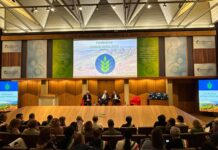 Spighe Verdi 2026, rivoluzione rurale dell’Italia: premiati 97 Comuni Spighe Verdi