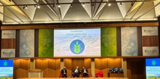 Spighe Verdi 2026, rivoluzione rurale dell’Italia: premiati 97 Comuni Spighe Verdi
