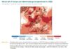 Clima, Mediterraneo e Italia surriscaldamento senza precedenti clima