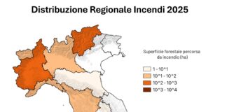 Nel 2025 l’Italia ha bruciato di più incendi 2024 Italia dati ispra