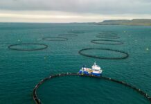 Agricoltura e pesca, Europa ridisegna la sovranità alimentare agricoltura