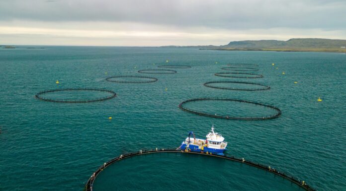 Agricoltura e pesca, Europa ridisegna la sovranità alimentare agricoltura