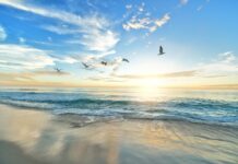 Mare, Italia ai vertici con circa il 90% dei siti eccellenti mare