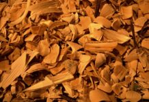 Bioenergie e carburanti rinnovabili per la decarbonizzazione bioenergie