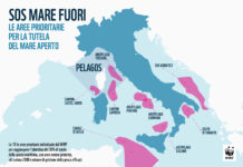 “Sos Mare Fuori”, Mediterraneo verso il punto di non ritorno Mediterraneo