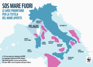 “Sos Mare Fuori”, Mediterraneo verso il punto di non ritorno Mediterraneo