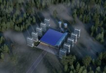 La nuova via della decarbonizzazione industriale decarbonizzazione