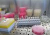 Il Consiglio UE dà il via libera al “European Biotech Act I biotech