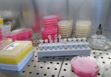 Il Consiglio UE dà il via libera al “European Biotech Act I biotech