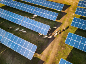 NON USARE SOLO PER STANTEC agrivoltaico
