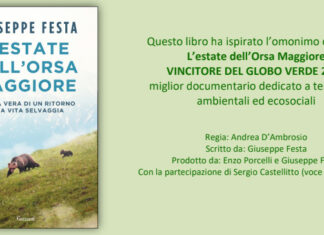 Globo Verde 2026 al docufilm “L’estate dell’Orsa Maggiore” globo