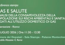 Gas e salute: analisi della consapevolezza della popolazione sui rischi ambientali e sanitari legati all’utilizzo domestico di gas