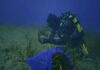 15 raccomandazioni per salvare la Posidonia nel Mediterraneo Seagrass restoration_ARTEMIS (1)