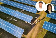 Agrivoltaico avanzato: la formula per produrre energia e sostenere l’agricoltura agrivoltaico stantec