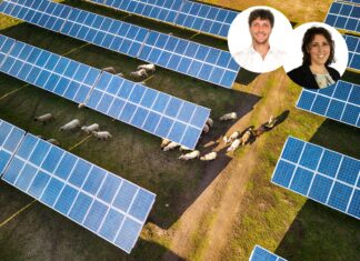 Agrivoltaico avanzato: la formula per produrre energia e sostenere l’agricoltura agrivoltaico stantec