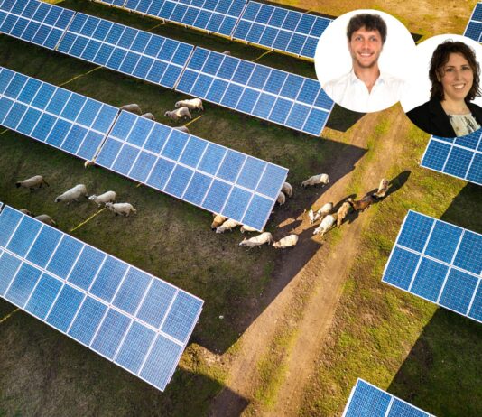 Agrivoltaico avanzato: la formula per produrre energia e sostenere l’agricoltura agrivoltaico stantec