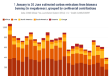 Copernicus: nel 2026 emissioni globali da incendi al minimo storico dal 2003 Stime delle emissioni globali e continentali totali di carbonio derivanti dalla combustione di biomasse tra il 1° gennaio e il 30 giugno dal 2003 al 2026. Il 2026 rimane l’anno con le emissioni più basse. Fonte: CAMS