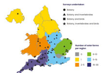 Parchi solari in UK hotspot per la biodiversità biodiversità