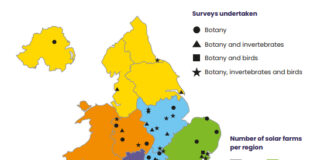 Parchi solari in UK hotspot per la biodiversità biodiversità