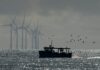 Eolico offshore galleggiante, le chiavi: porti e regole chiare eolico offshore