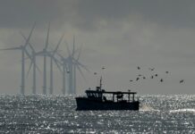 Eolico offshore galleggiante, le chiavi: porti e regole chiare eolico offshore