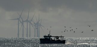 Eolico offshore galleggiante, le chiavi: porti e regole chiare eolico offshore
