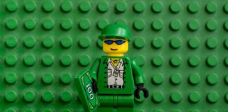 Green econmy: grandi accordi, investimenti record e crescita industriale Foto di db_oblikovanje da Pixabay