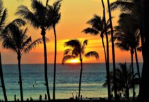 Hawaii al via la più grande gara di appalto per la transizione energetica hawaii