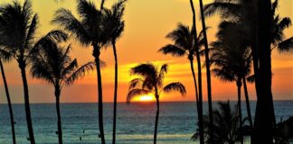 Hawaii al via la più grande gara di appalto per la transizione energetica hawaii