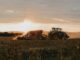 Agricoltura e biometano, il primato di Azzano Decimo biometano