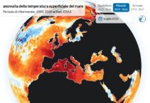 Crisi idrica ed emergenza caldo: l’allarme dell’ANBI per un’Europa della risorsa idrica C3S-ECMWF_Anomalia temperatura mare Luglio 2026