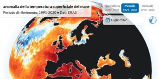 Crisi idrica ed emergenza caldo: l’allarme dell’ANBI per un’Europa della risorsa idrica C3S-ECMWF_Anomalia temperatura mare Luglio 2026