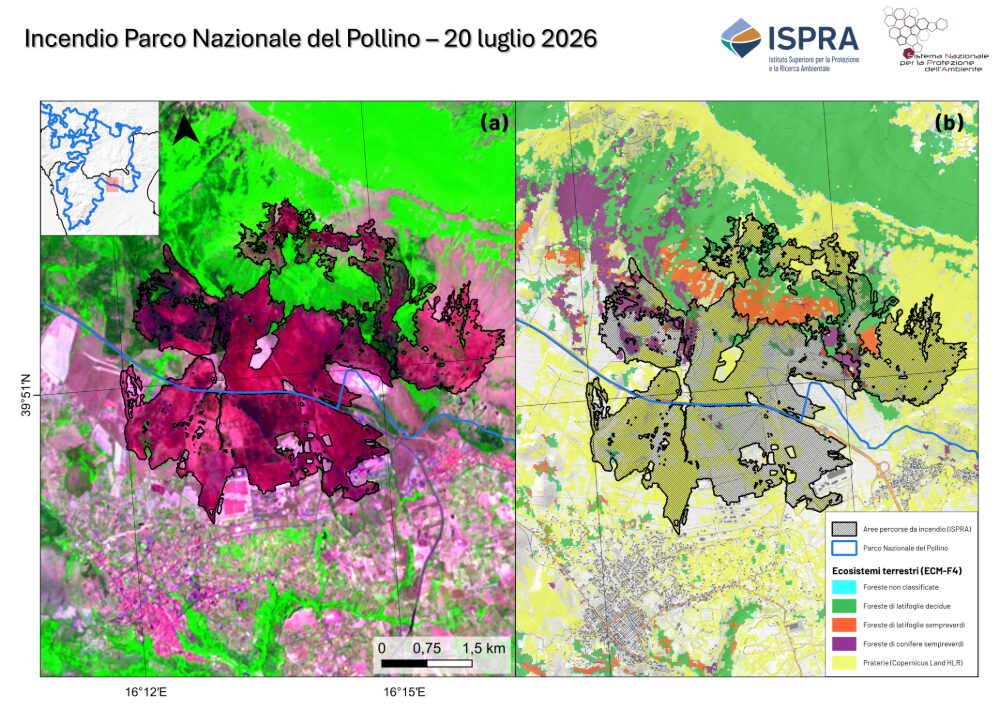PnPollino Foto di Ispra