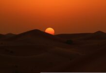 Biometanolo negli Emirati Arabi Uniti bioetanolo
