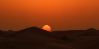 Biometanolo negli Emirati Arabi Uniti bioetanolo