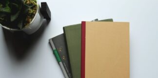 Consiglio di Stato stoppa disciplina sulla decurtazioni agli incentivi incentivi