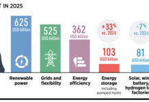 Transizione energetica: successi rinnovabili, blocco dell’efficienza transizione energetica