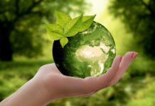 L’Agenzia per l’innovazione ungherese e l’EIT uniscono le forze
