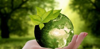 L’Agenzia per l’innovazione ungherese e l’EIT uniscono le forze