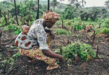 Agricoltura in Africa orientale: 184 milioni per le sfide climatiche agricoltura