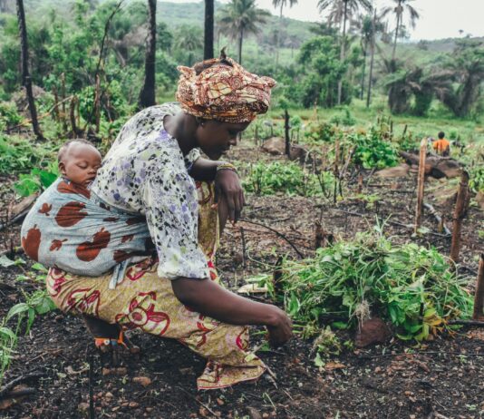 Agricoltura in Africa orientale: 184 milioni per le sfide climatiche agricoltura