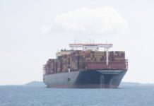 Emissioni zero, strategie di flotta nella sfida dello shipping flotta